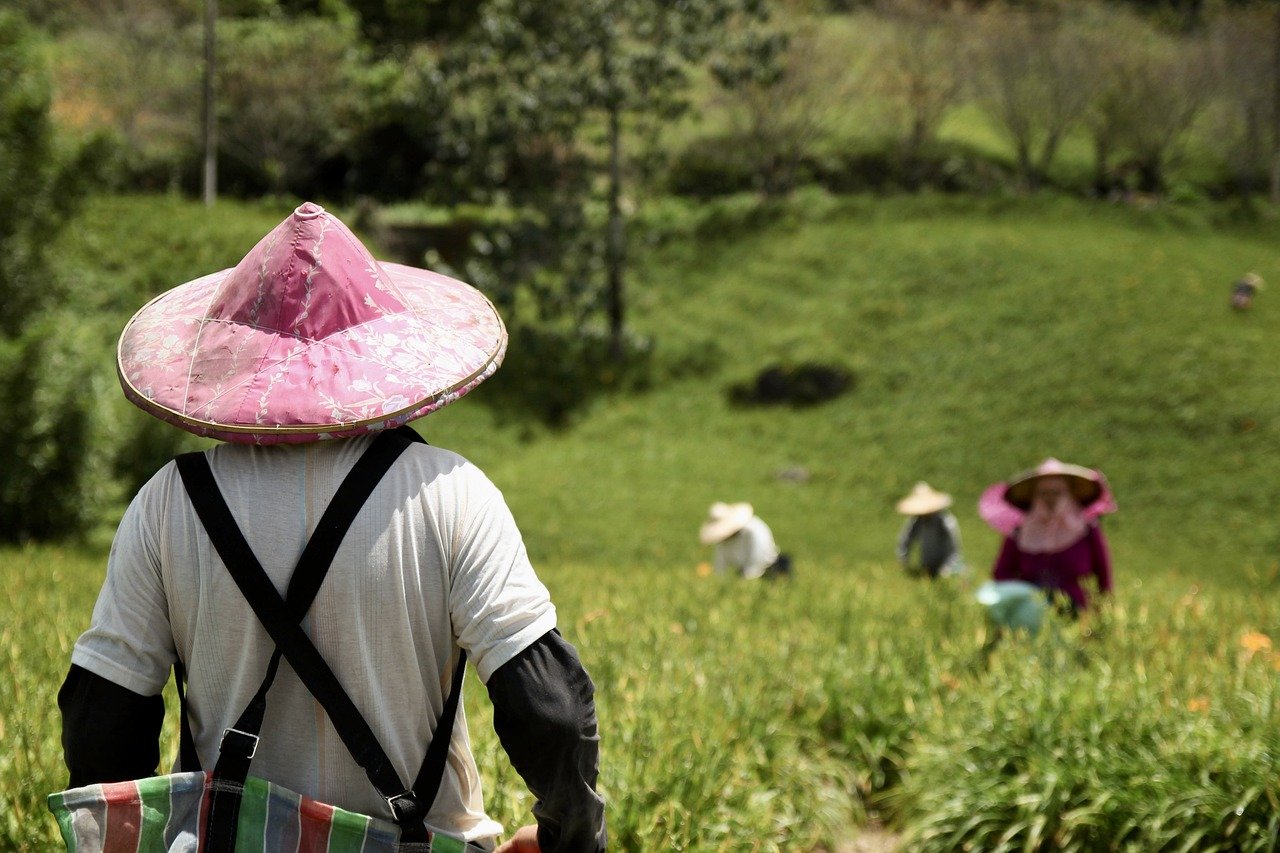 Image of Why Farmers Matter: The Roots of Quality Nutrition by Emma